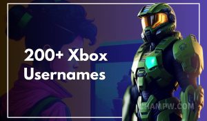 200+ Xbox Usernames