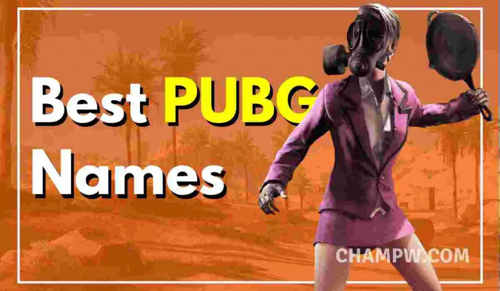 700 Best PUBG Names Stylish Cool Funny PUBG Names