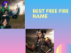 Best Free Fire names