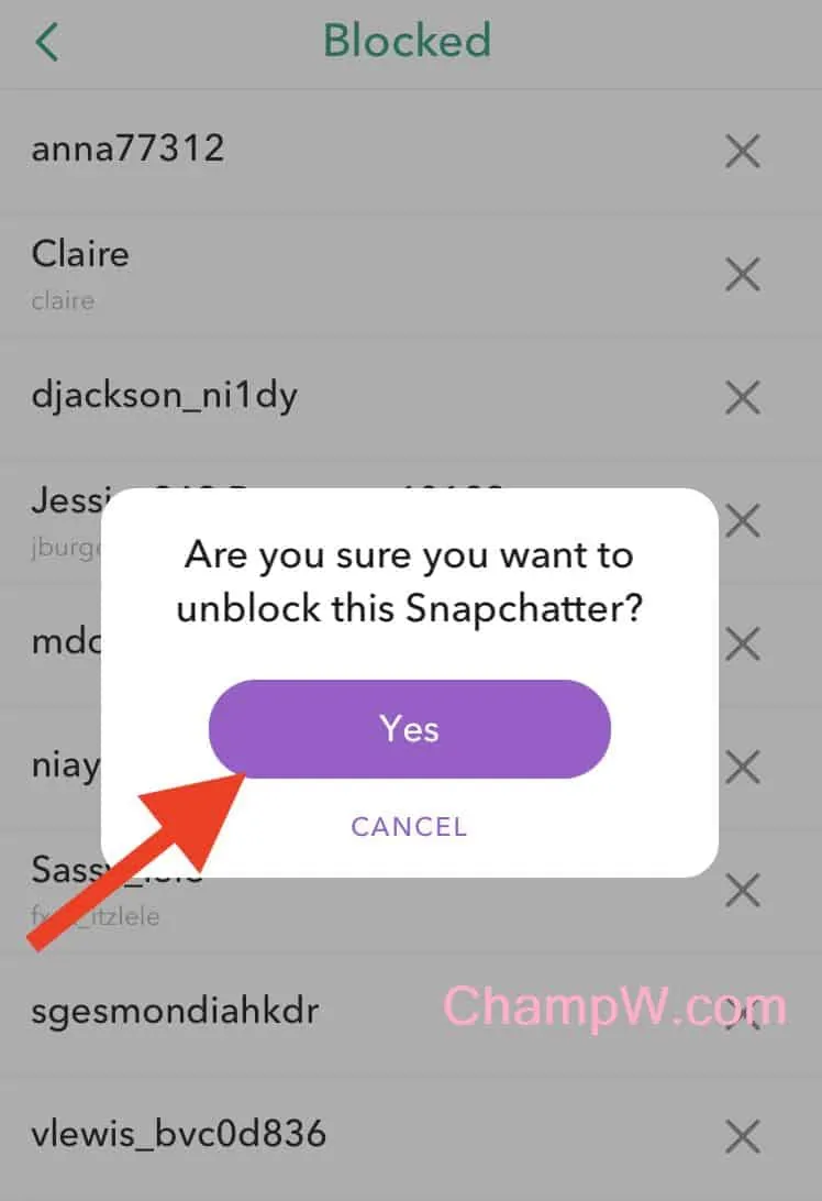 How to Unblock Someone on Snapchat - Are you sure you want to unblock this Snapchatter