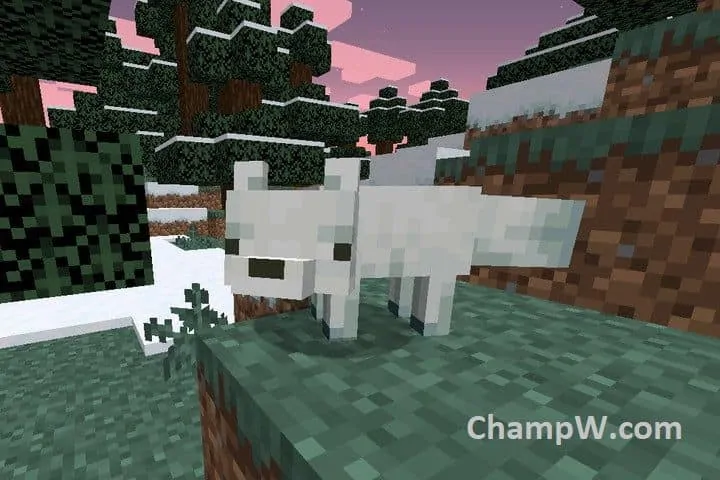 How to tame a Fox in Minecraft, Where to Find-Complete Guide