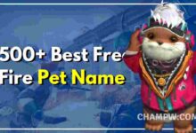 Free Fire Pet Name