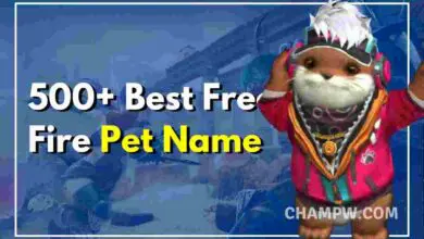 Free Fire Pet Name