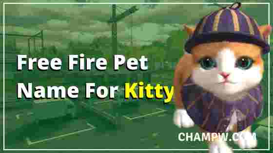 Free Fire Pet Name For Kitty