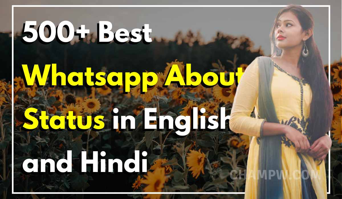 350+ Best Whatsapp About Status in English and Hindi 2020