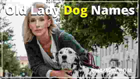 Old Lady Dog Names