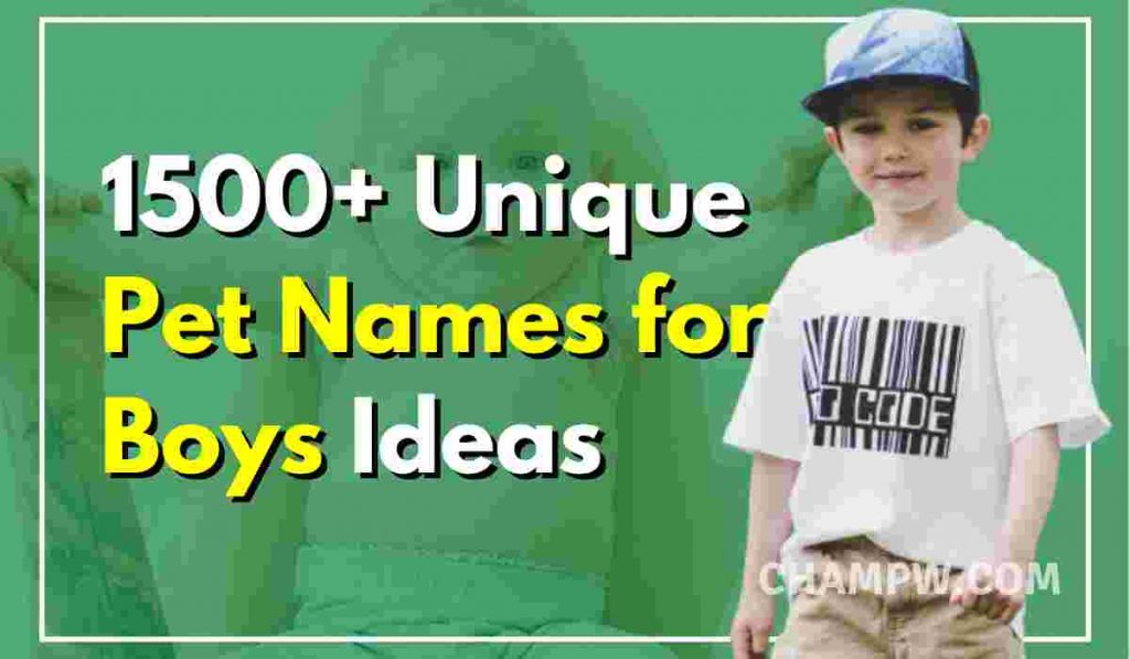 1500-unique-pet-names-for-boys-ideas-you-need-in-2024