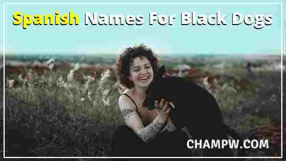 Spanish Names For Black Dogs