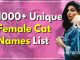 1000+ Unique Female Cat Names List