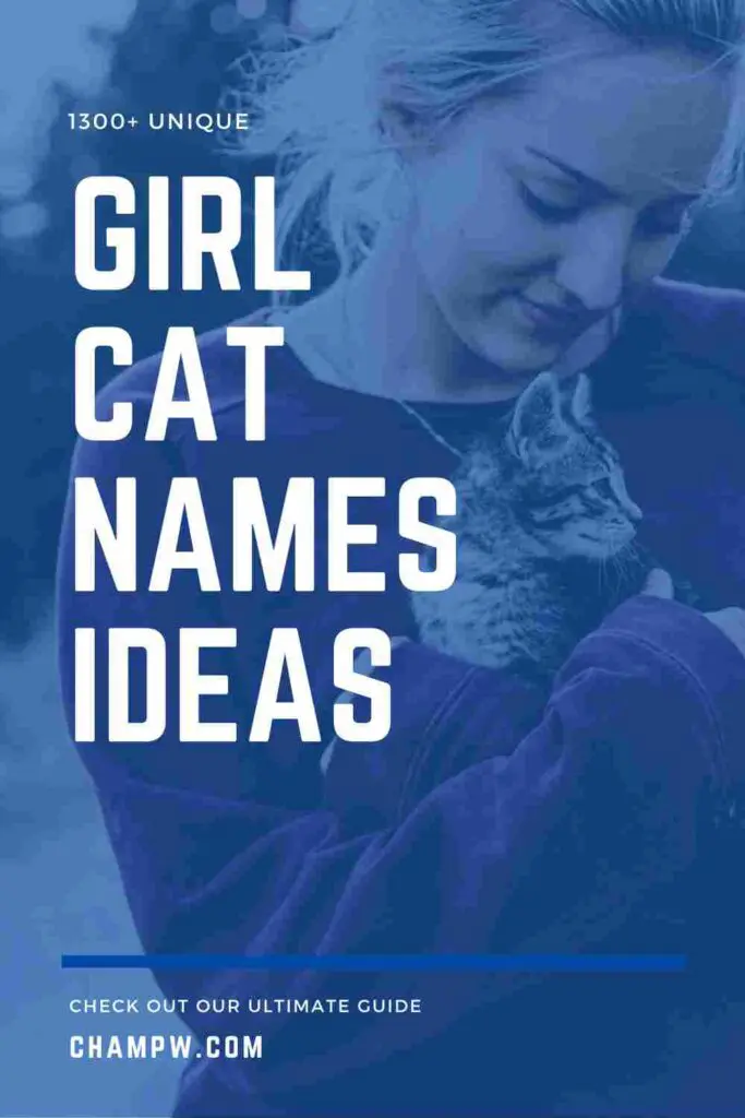 1300+ Unique Girl Cat Names You Need