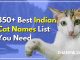 850+ Best Indian Cat Names List You Need