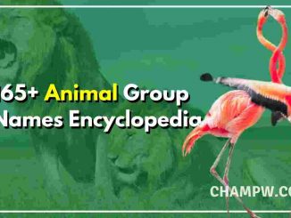 165+ Complete Animal Group Names Encyclopedia