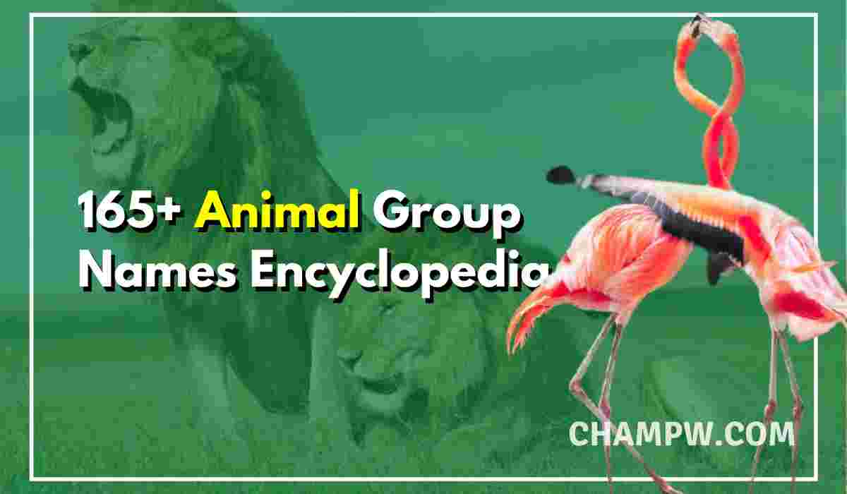 165+ Complete Animal Group Names Encyclopedia In 2023