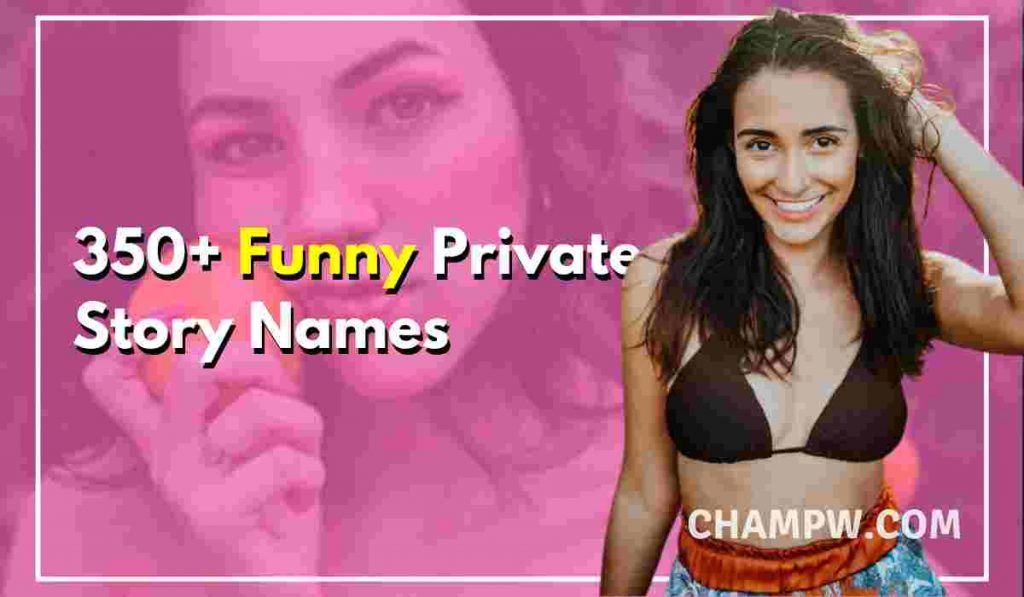 350+ Funny Private Story Names You Must Try