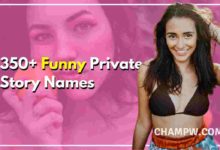 350+ Funny Private Story Names You Must Try