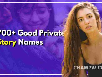 700+ Good Private Story Names You Must Try