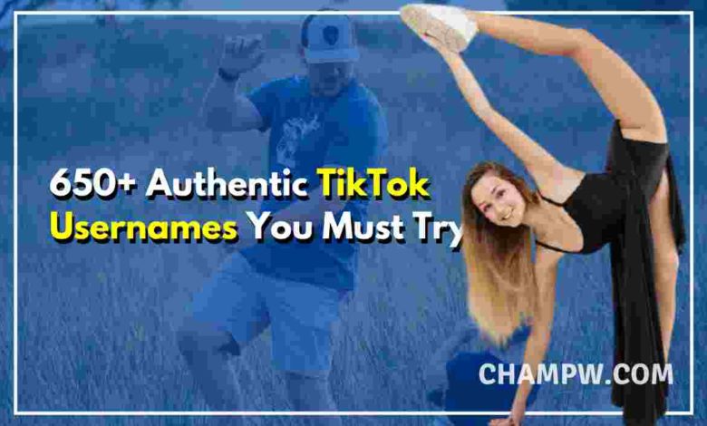 650-authentic-tiktok-usernames-you-must-try-in-2021