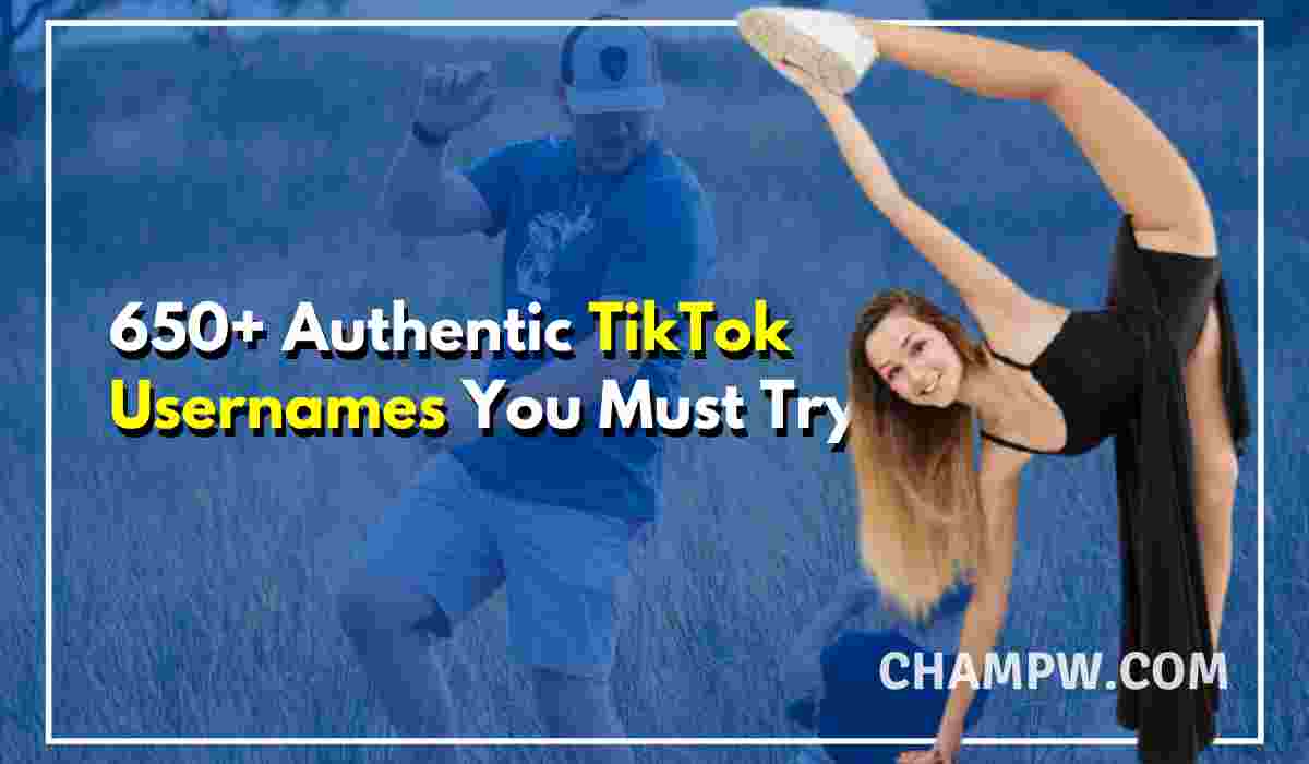 650 Authentic Tiktok Usernames You Must Try In 2021 - aesthetic roblox tiktok username ideas aesthetic