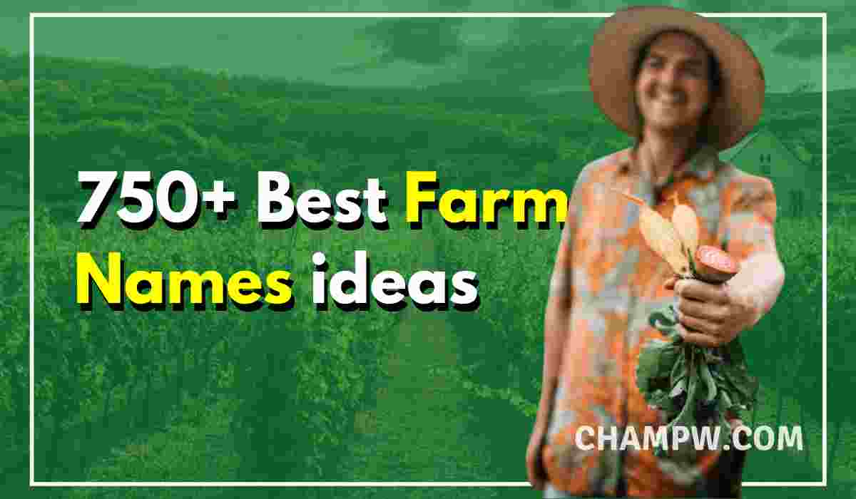 750 Best Farm Names Ideas For Your Small Business