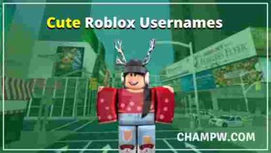 750+ Cool Roblox Usernames List For Girls & Boys