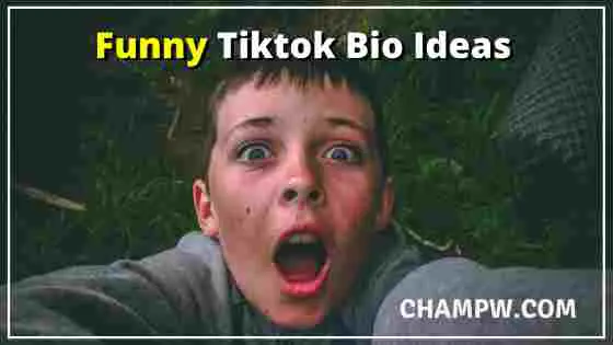 Funny Tiktok Bio ideas