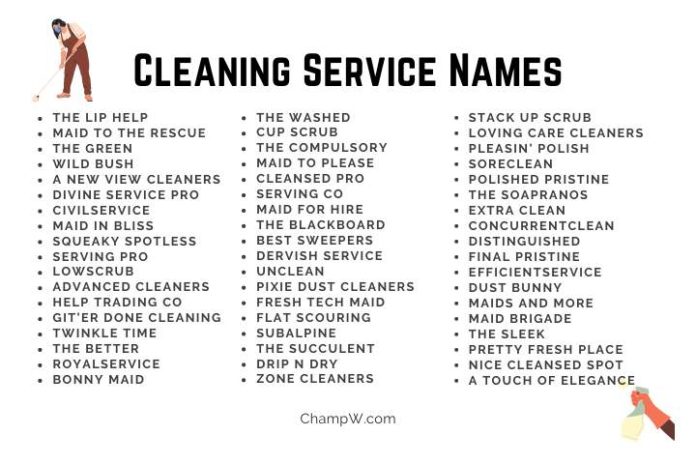 500+ Super Profitable Cleaning Service Names In 2024