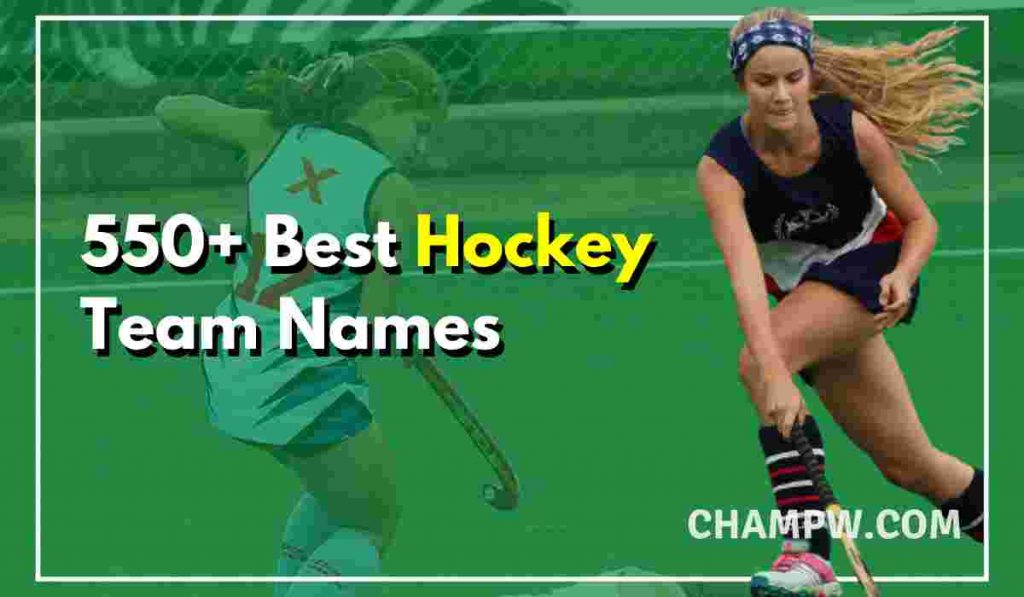 550+ All Time Best Hockey Team Names ideas