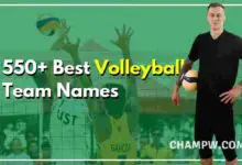 Best Volleyball Team Names ideas