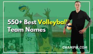 Best Volleyball Team Names ideas