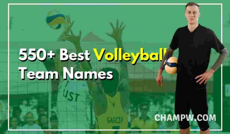 Best Volleyball Team Names ideas