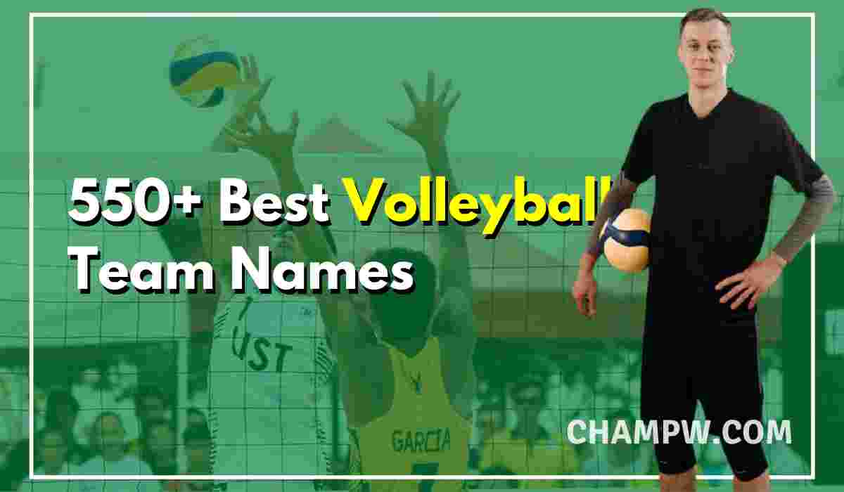 550 All Time Best Volleyball Team Names Ideas