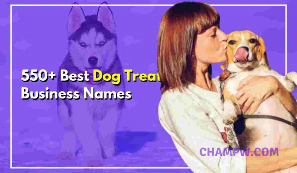550+ Best Dog Treat Business Names For Your Business