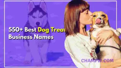 Dog Treat Business Names