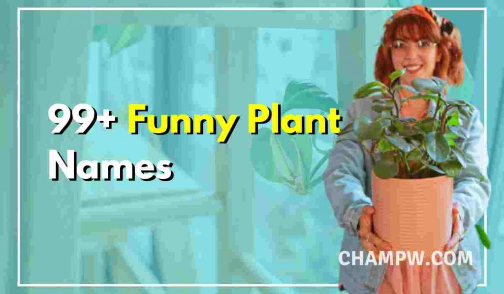 99-funny-plant-names-for-your-dear-little-plant