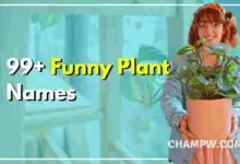Funny Plant Names