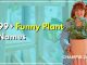 Funny Plant Names