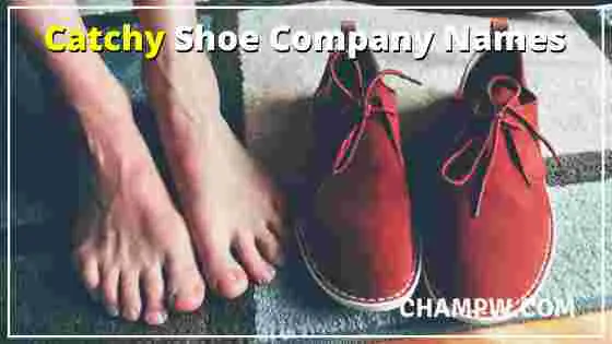 Catchy Shoe Company Names