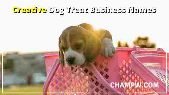 Creative Dog treat Business Names