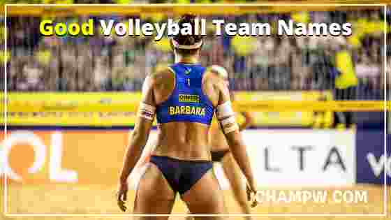 Good Volleyball Team Names