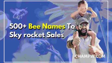 500+ Bee Names To Sky rocket Sales With Best Bee Farm Name