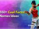 Cool Fortnite Names