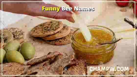 FUNNY BEE NAMES