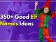 350+ Good Elf Names Ideas