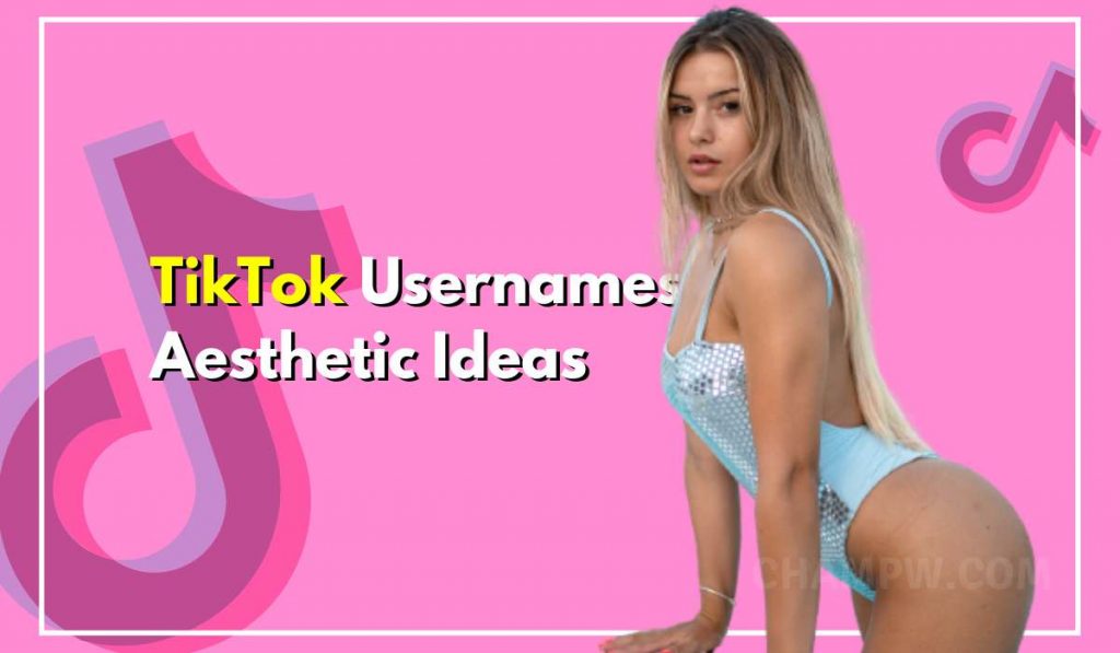 650+ TikTok Usernames Aesthetic Ideas You Must Try
