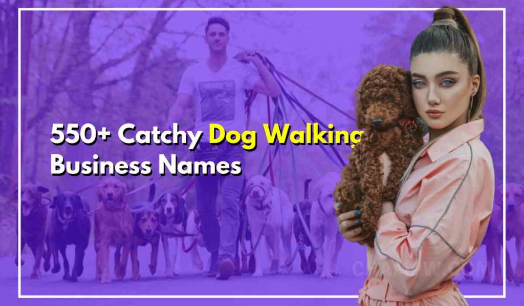 550+ Catchy Names For Dog Walking Business