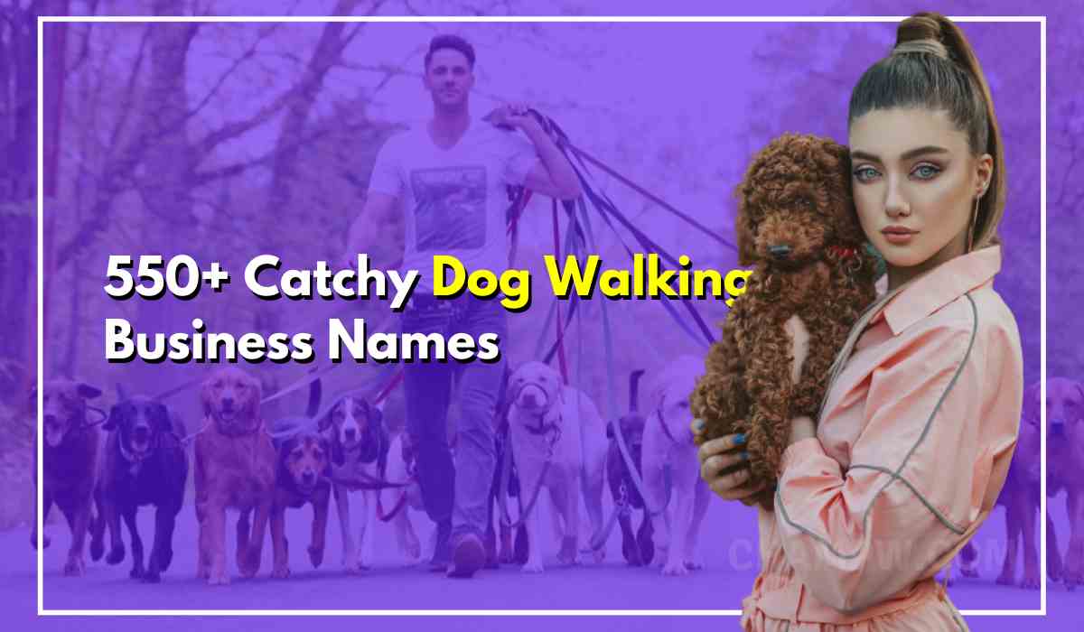 Names For Dog Walking Business