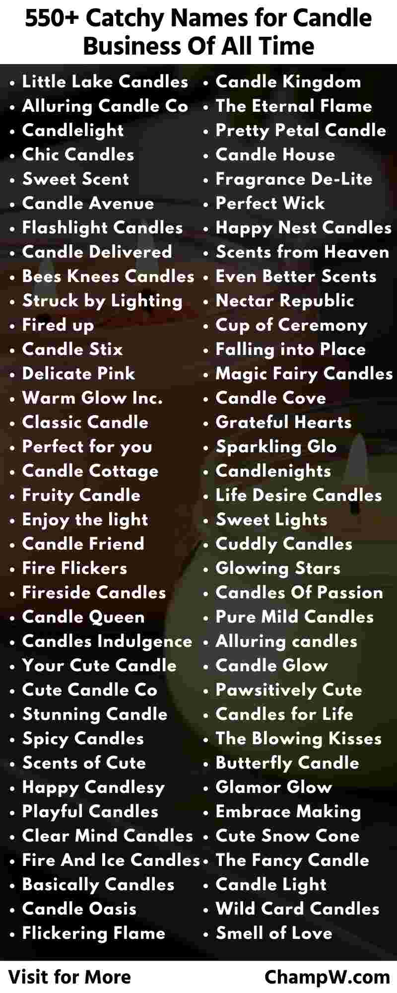 Candle Business names infographic
