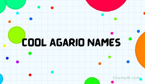 Cool Agario Names