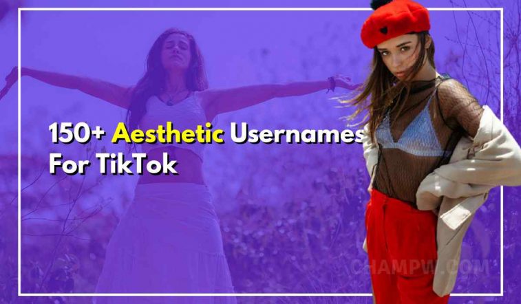 150+ Aesthetic Usernames For TikTok To Gain Follows Quickly