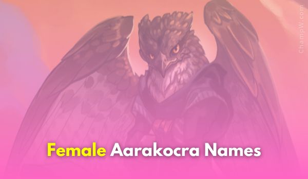 550+ Aarakocra Names Strong Ideas - Dungeons & Dragons